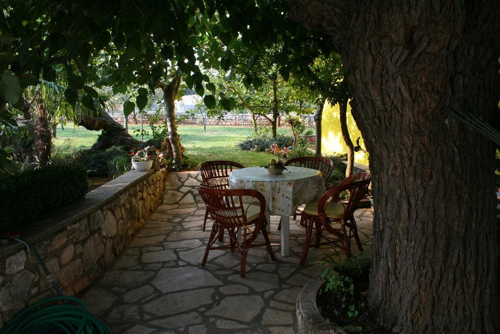 רובינייסקו סלו Apartment Pokrajac חדר תמונה